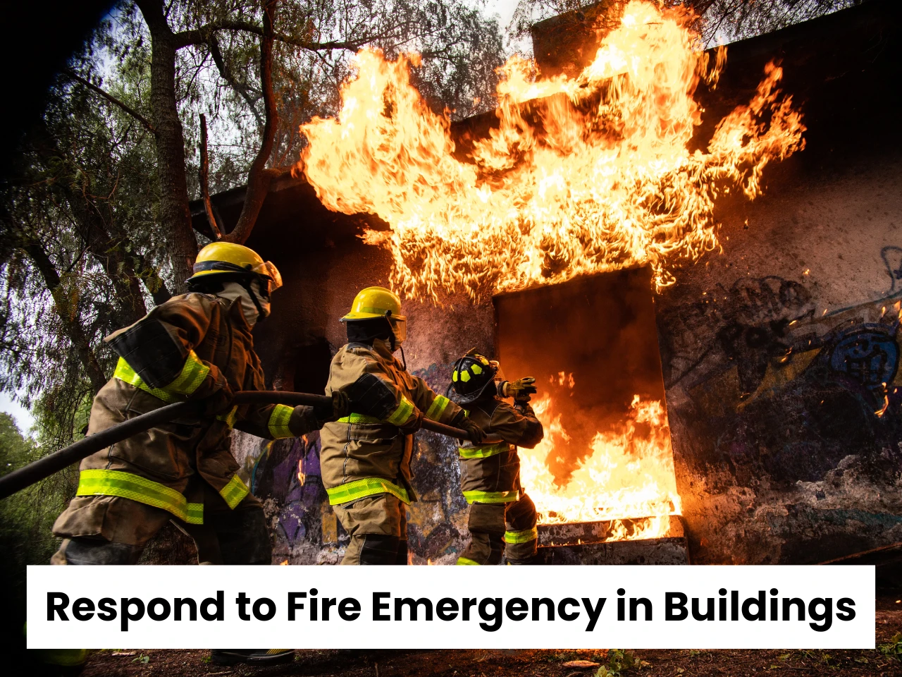 WSQ Respond to Fire Emergency in Buildings RFEB Course