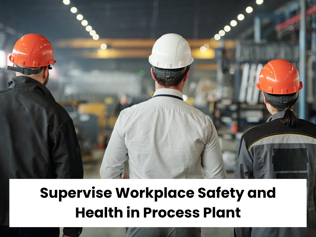 Supervise Workplace Safety and Health in Process Plant SWSHPP Course