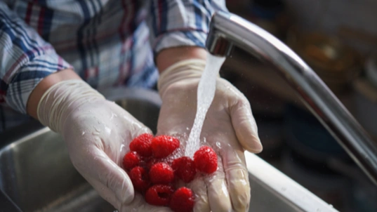 Food safety responsibility in kitchen operations