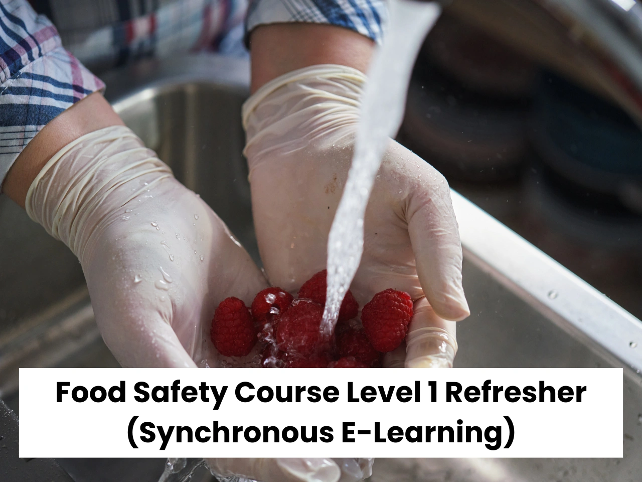 Food Safety Course Level 1 Refresher Synchronous