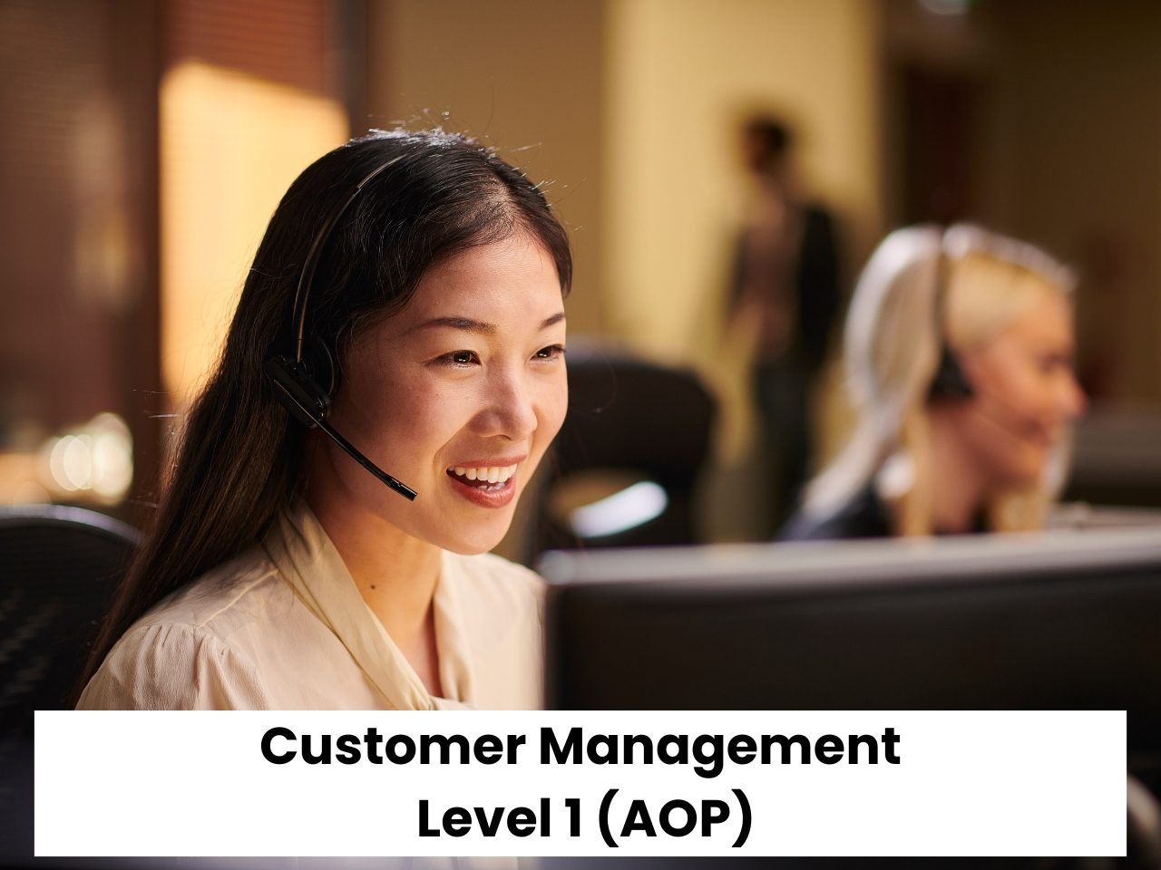 Customer Management (Level 1) AOP