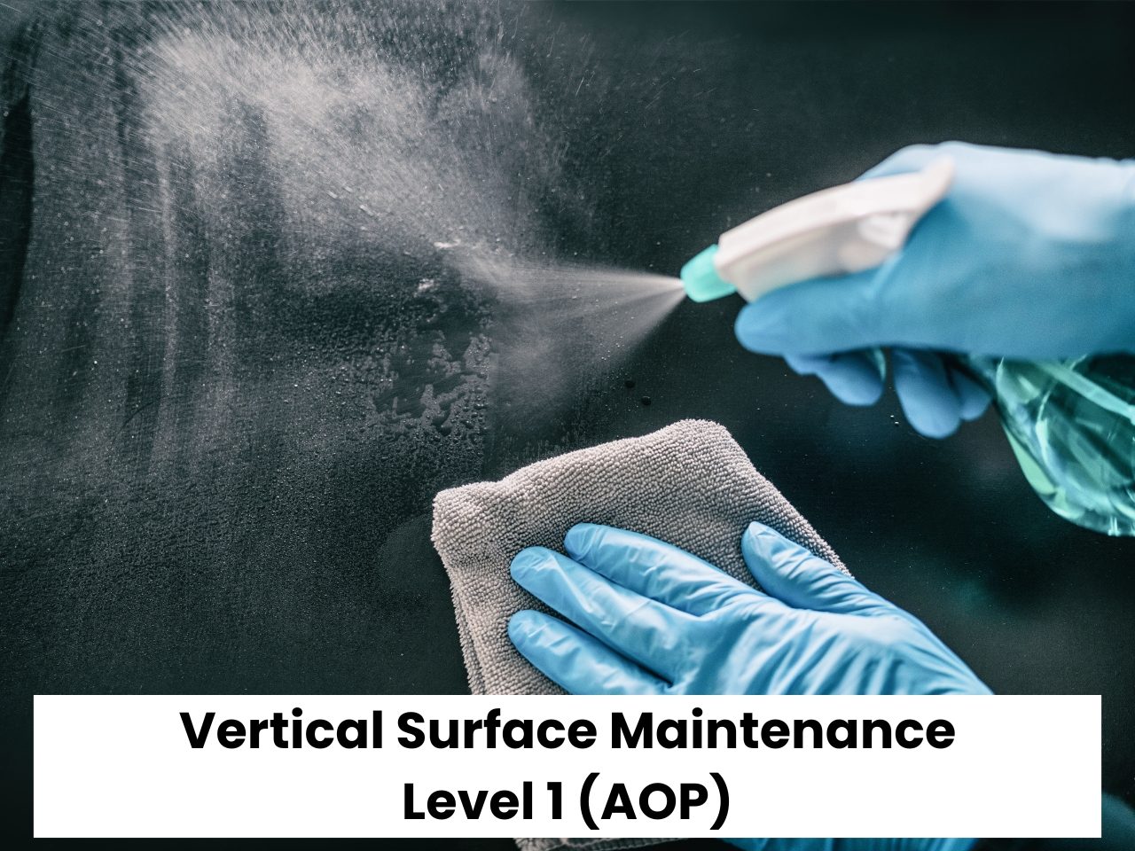 Vertical Surface Maintenance (Level 1) AOP