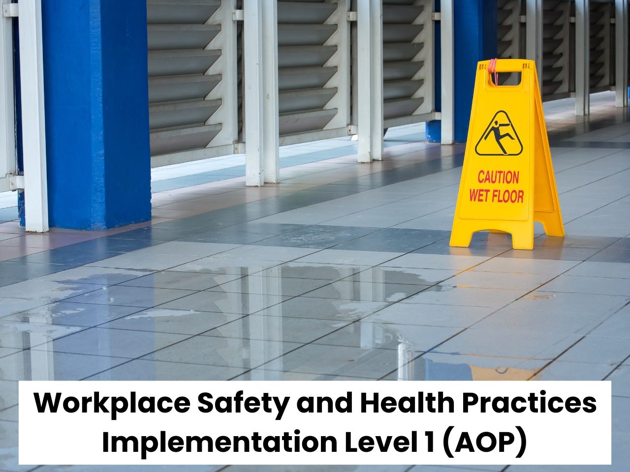 Workplace Safety and Health Practices Implementation (Level 1) AOP