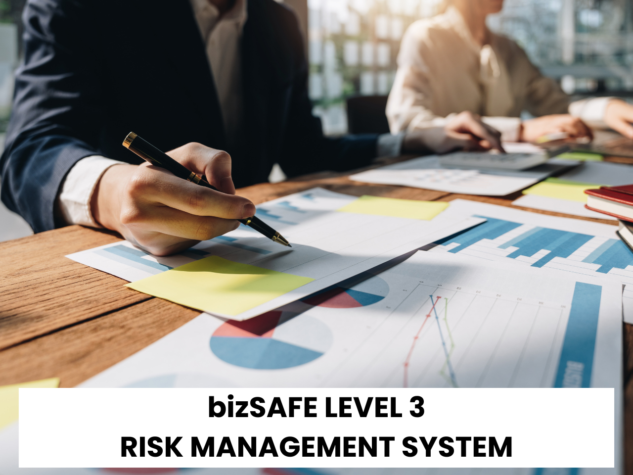 bizSAFE LEVEL 3 Risk Management System